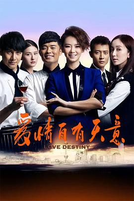 爱情自有天意2013[电影解说]封面图